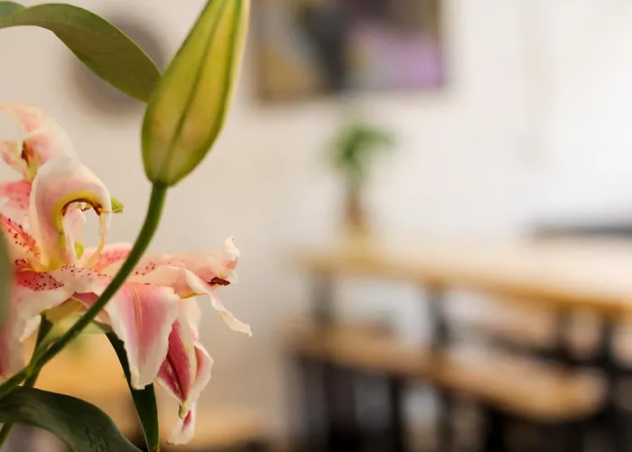 Hostel Aroma